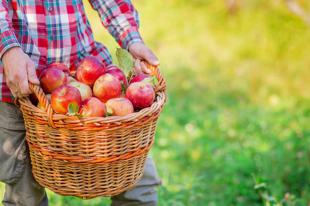 Garden Gang Amazing Apples (Colour may vary)